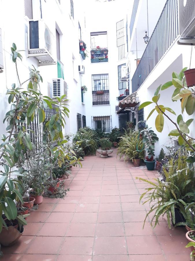 Apartamento Centro Juderia Cordoba Appartamento Esterno foto